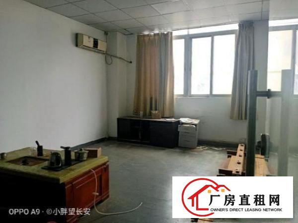  （非中介）业主直租厂房