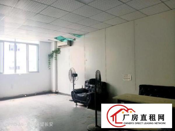 （非中介）业主直租厂房