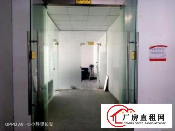  （非中介）业主直租厂房