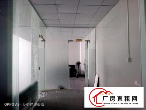  （非中介）业主直租厂房