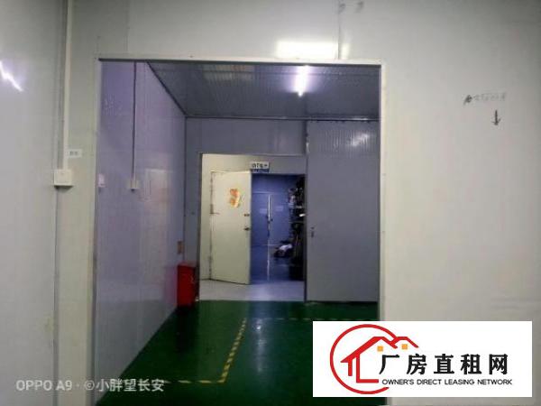  （非中介）业主直租厂房