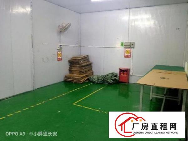  （非中介）业主直租厂房