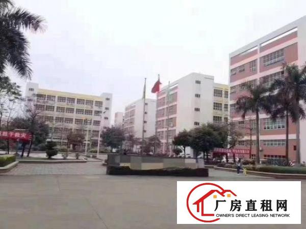 沙井共和大型园区新出楼上1280平带装修厂房，免装修费