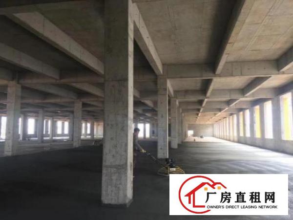  线路板专用厂房（政府统一处理废水）