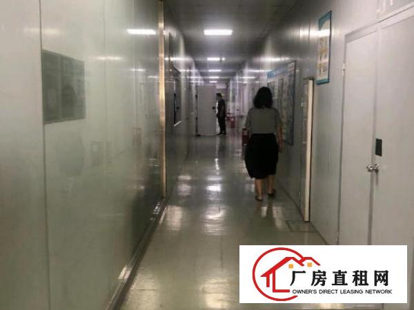  沙井地铁口无尘车间780平，租金23元，无转