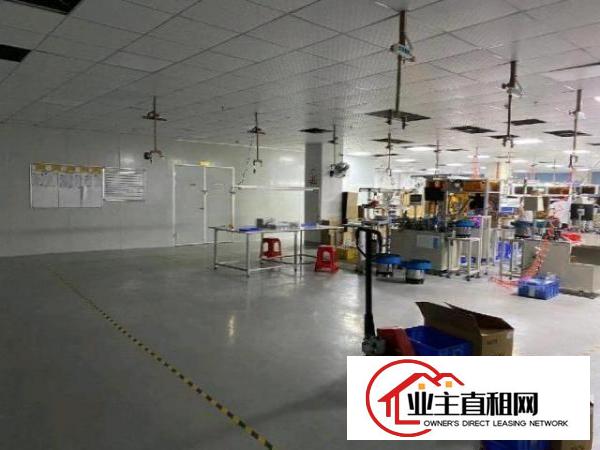  宝安周边东莞长安沙头2300平带精装修工业厂房招租