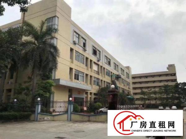  沙井步涌原房东厂房一楼一千二楼一千平方厂房无公摊出租