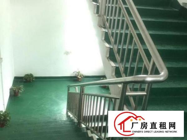 沙井107边东环路厂房二楼整层700平米精装修没转让费