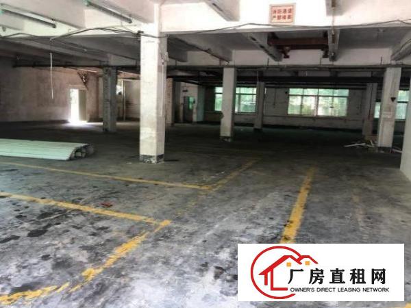  沙井工业园区厂房招租