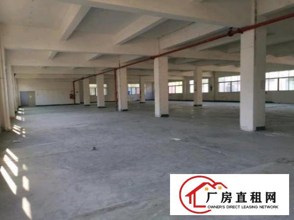  沙井沙中路靠近京基百纳附近独门独院3900平厂房招租