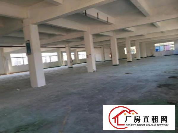  沙井沙中路靠近京基百纳附近独门独院3900平厂房招租