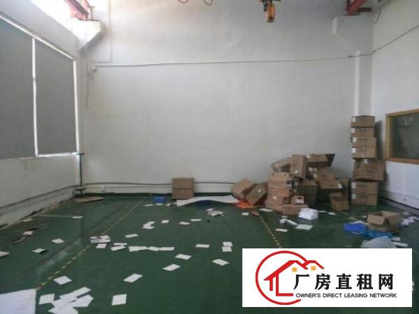  沙井西部锦程路新出一楼带装修带行车厂房
