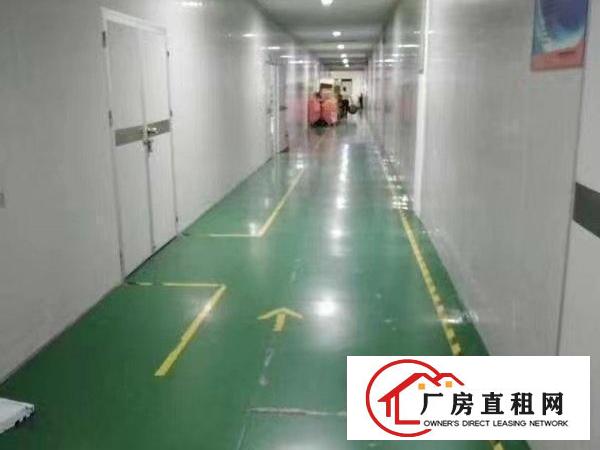  宝安沙井大王山大型工业区楼上1400平方无尘车间出租