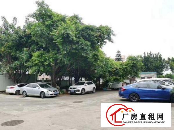  沙井步涌新出楼上3600厂房出租