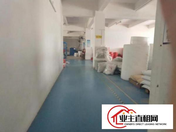  长安新民工业区新出二楼带装修工业厂房500平米招租