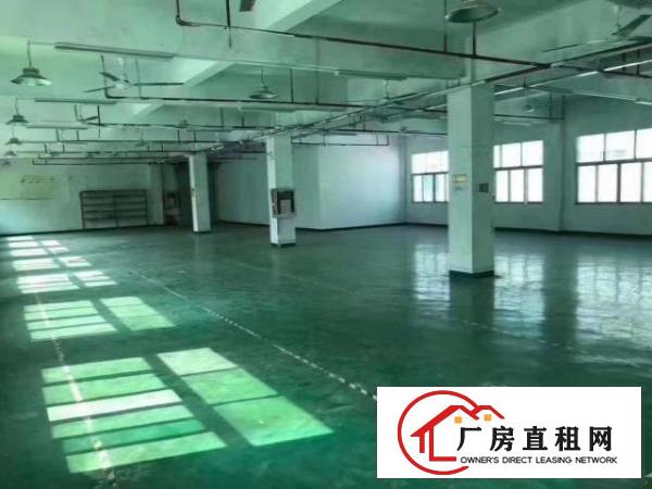  村委厂房大型工业园区