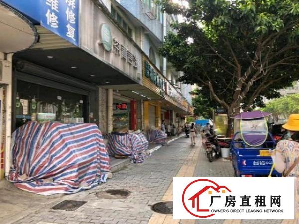  沙井后亭地铁口笋盘招租主干道边上，整层1500平可分租