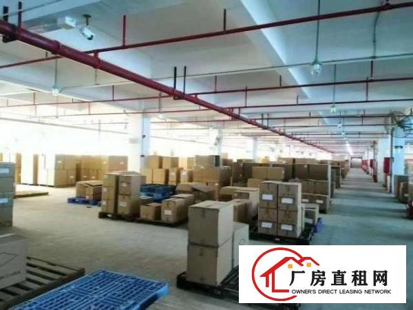  厂房招租，沙井新沙路边原房东厂房楼上两层，实际面积出租。