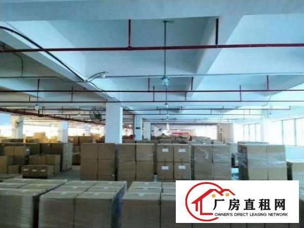  厂房招租，沙井新沙路边原房东厂房楼上两层，实际面积出租。