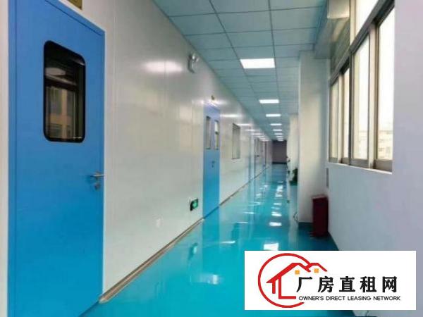  沙井标准十万级无尘车间，1800㎡，
