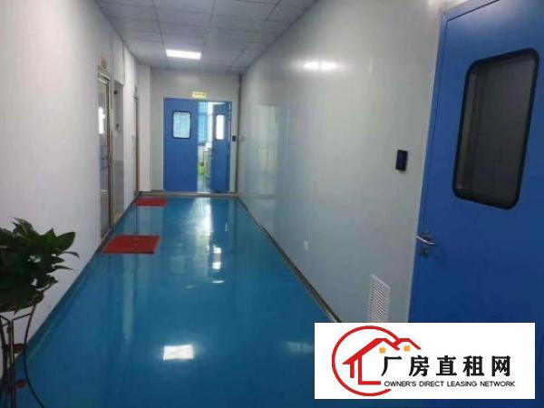  沙井标准十万级无尘车间，1800㎡，