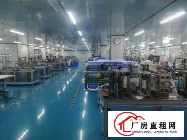  沙井标准十万级无尘车间，1800㎡，