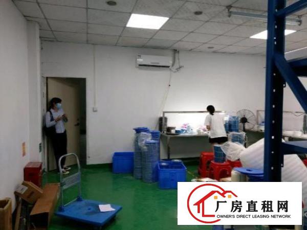  后亭330带装修厂房招租