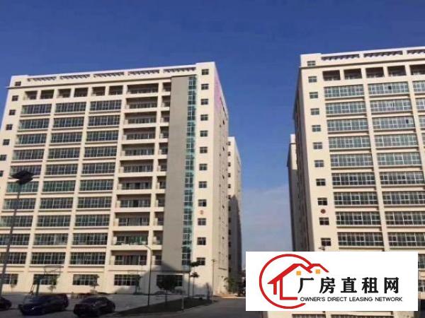  沙井107国道边300-1000-2千五平厂房东直租