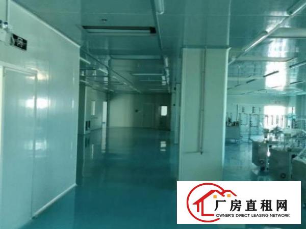  沙井芙蓉1230平方无尘车间出租