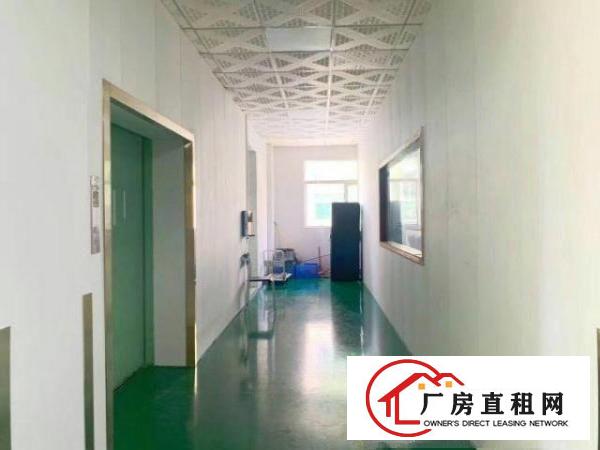  绝非中介，自厂房出租装修豪华，有意者可以面谈