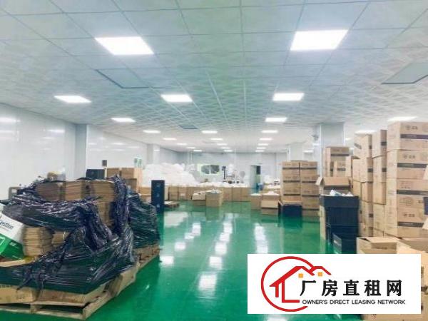  绝非中介，自厂房出租装修豪华，有意者可以面谈