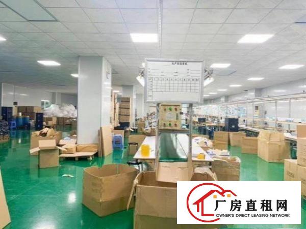  绝非中介，自厂房出租装修豪华，有意者可以面谈