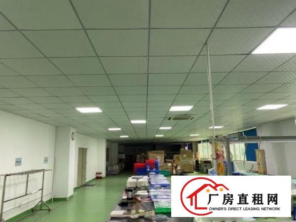  独门独院，无尘厂房出租