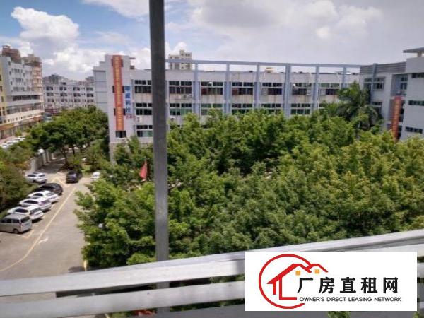  沙井和一原房东实际面积厂房出租