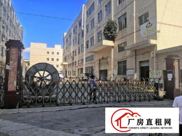  沙井新桥三工业区新出独院厂房大小分租158平米起分