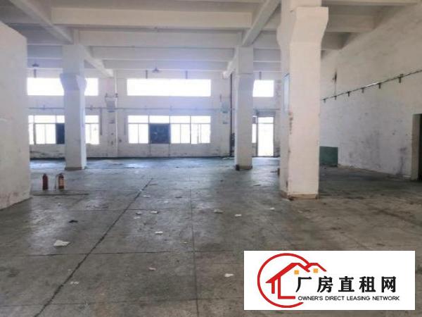  沙井新桥三工业区新出独院厂房大小分租158平米起分