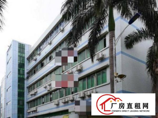  带电梯，可办公、生产、仓储均可