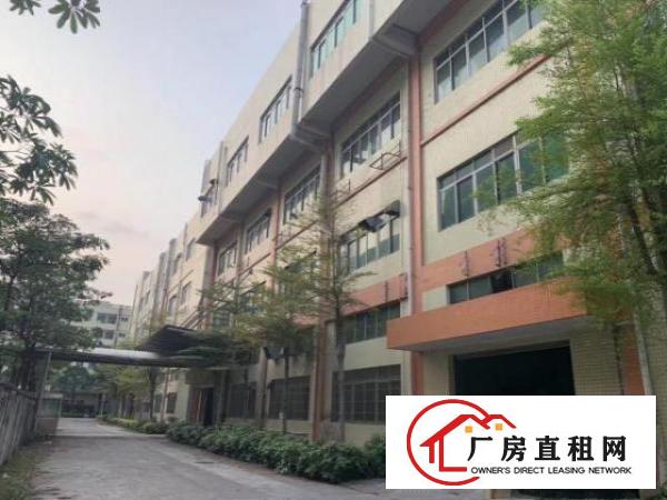  沙井步涌气派花园式厂房，空地大，适合上市公司等