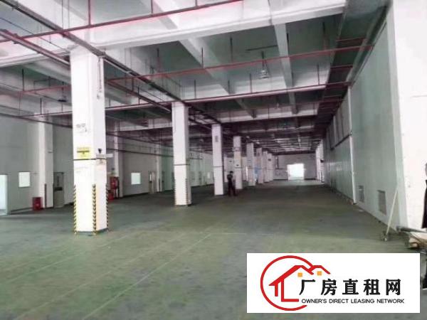 沙井步涌气派花园式厂房，空地大，适合上市公司等