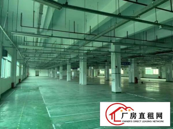  沙井步涌气派花园式厂房，空地大，适合上市公司等
