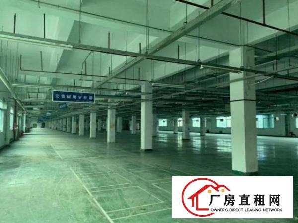  沙井步涌气派花园式厂房，空地大，适合上市公司等