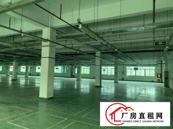  沙井步涌气派花园式厂房，空地大，适合上市公司等