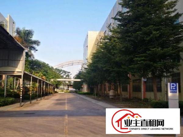  沙井一楼楼上带装修厂房200-300-500平方红本起租