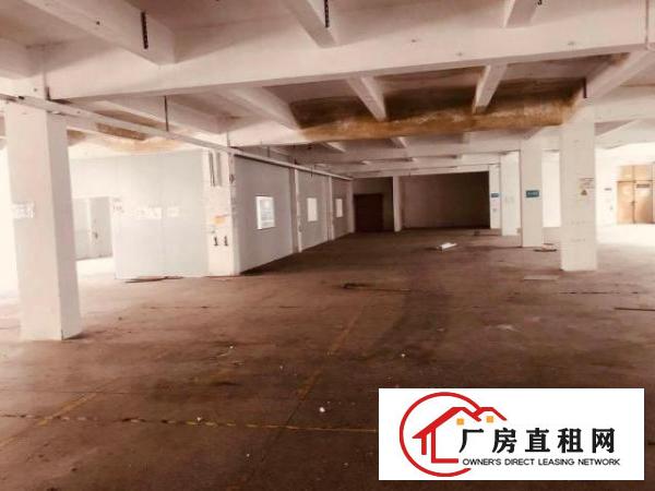  出租沙井万丰厂房200-1200平