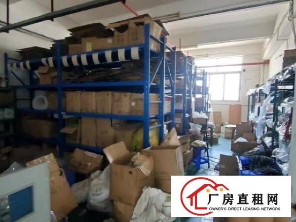  万丰工业园1000平厂房出租免转让费