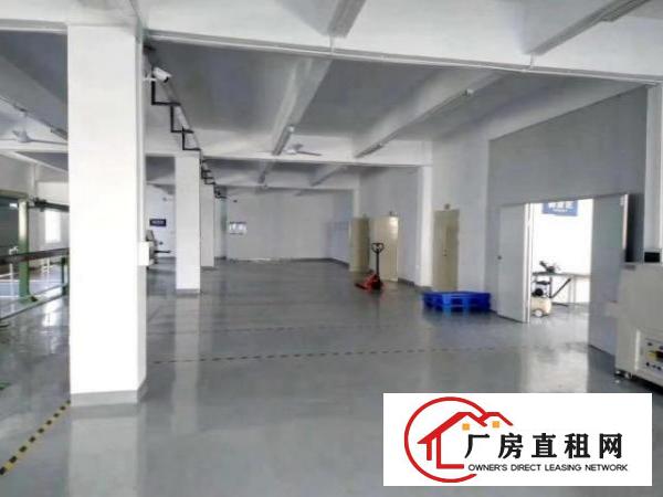  沙井国道旁新出楼上带装修1100平