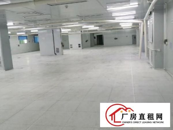 沙井1400平无尘车间出租（非中介））