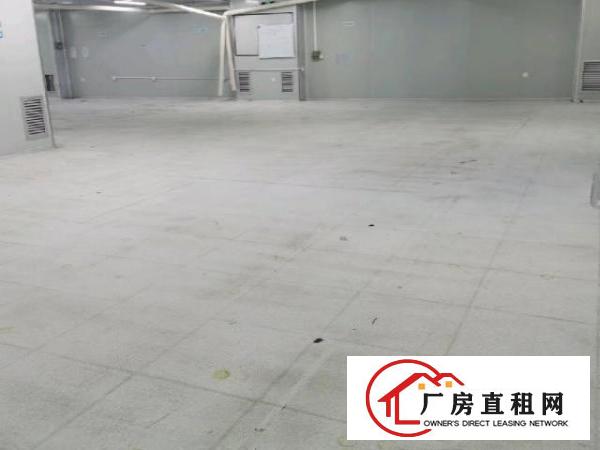  沙井1400平无尘车间出租（非中介））