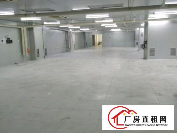  沙井1400平无尘车间出租（非中介））
