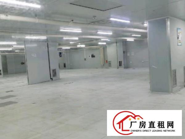  沙井1400平无尘车间出租（非中介））